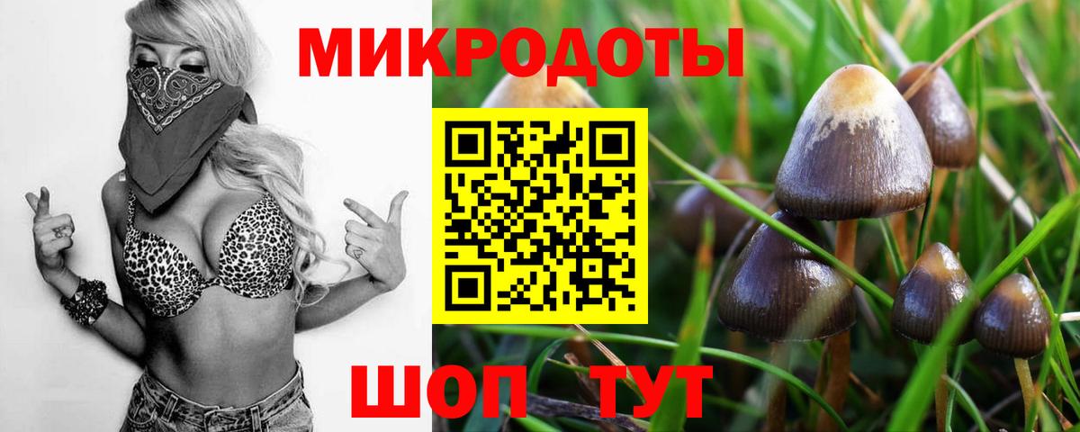 Туапсе  Галлюциногенные грибы мицелий  Вход с VPN  Галлюциногенные грибы Magic Shrooms 